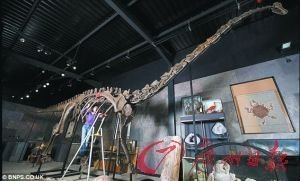 英国40万英镑拍卖完整恐龙骨架 世界仅6副(图)