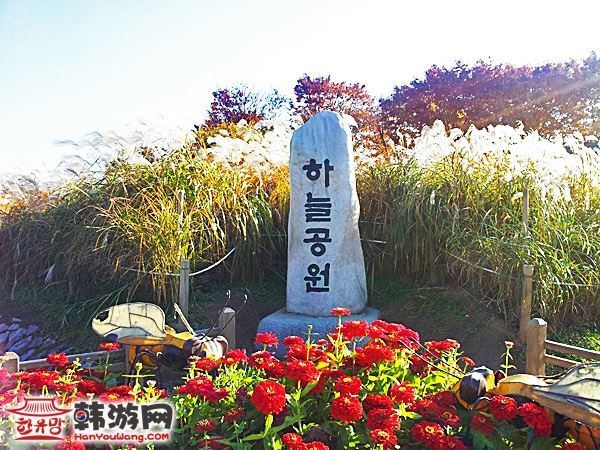 韩国蓝天公园1