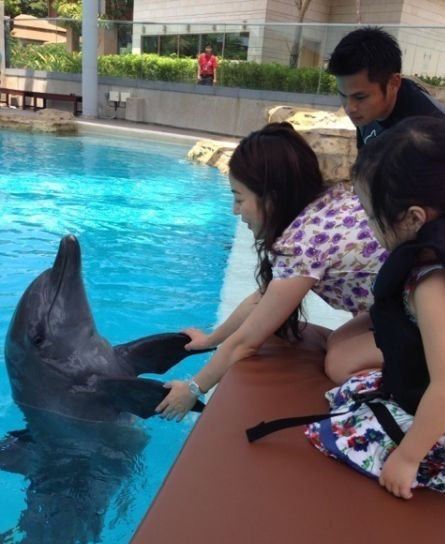 赵薇与老公女儿海洋馆游玩 小四月温柔喂海豚