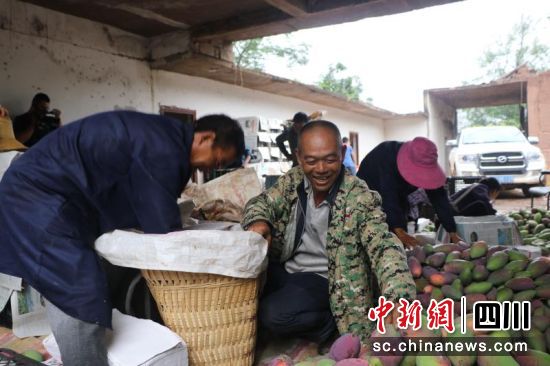  会东县发展特色产业带动农民致富。（会东县委宣传部供图）
