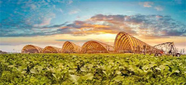2022年中国农民丰收节全国主场为何选择天府农博园？