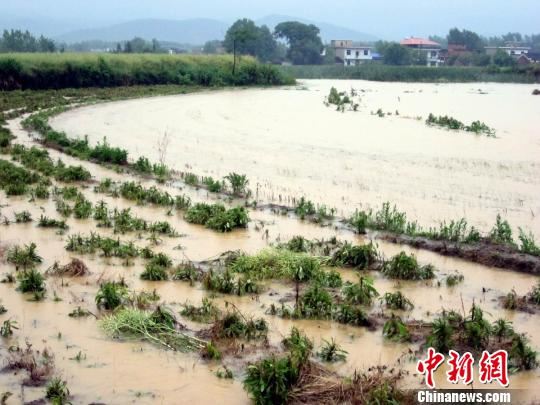 暴雨致江西彭泽近万人受灾480人连夜转移（图）