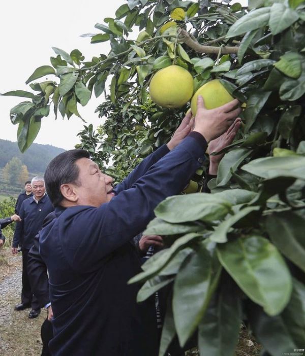 习近平考察湖南：深化改革开放推进创新驱动