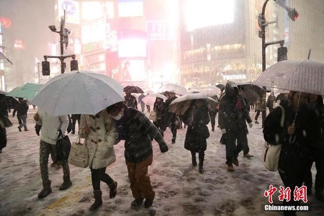 东京遭遇45年不遇强降雪 首都圈交通瘫痪(图)