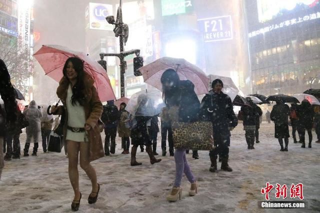 东京遭遇45年不遇强降雪 首都圈交通瘫痪(图)