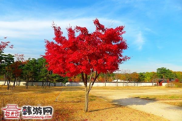 韩国首尔秋日景福宫