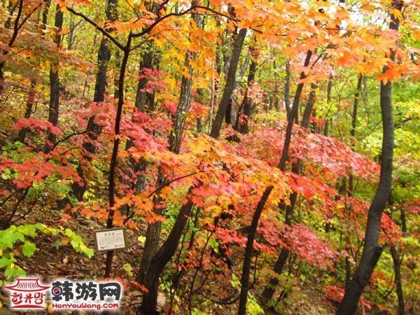 韩国雪岳山